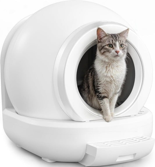 Self Cleaning Cat Litter Box